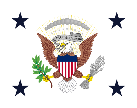 Drapeau du Vice- Président