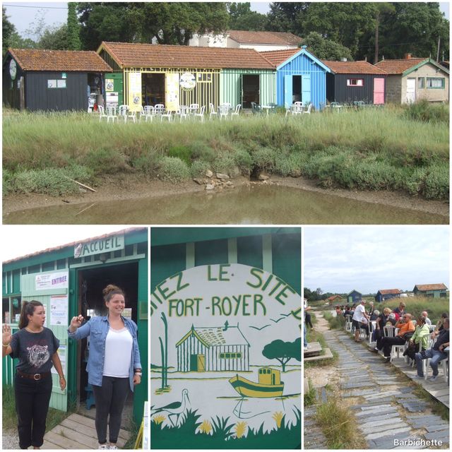 Visite d’un site ostréicole à Boyardville et dégustation d’huitres