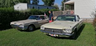 T bird  dans la place