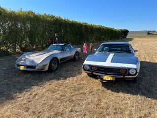 Corvette C3 VS Javelin