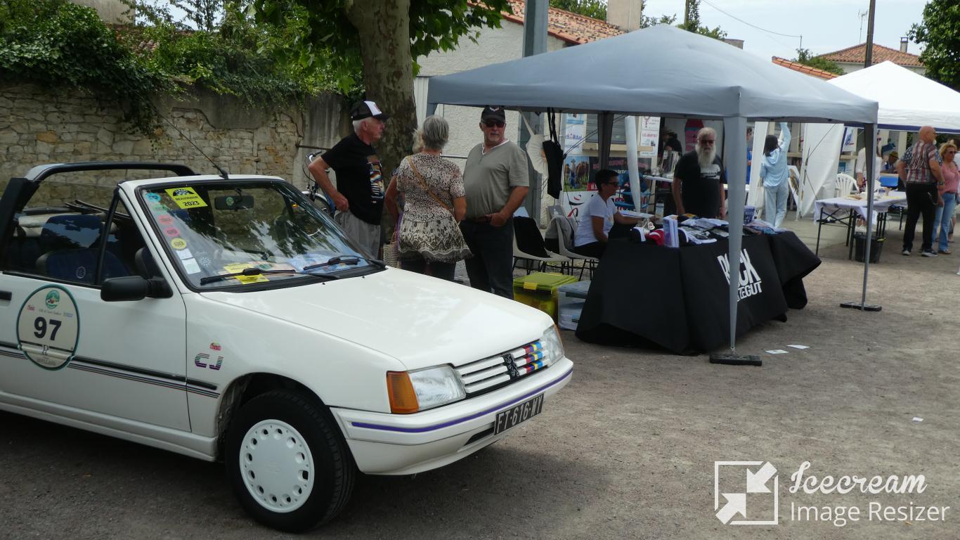mini_P1040027