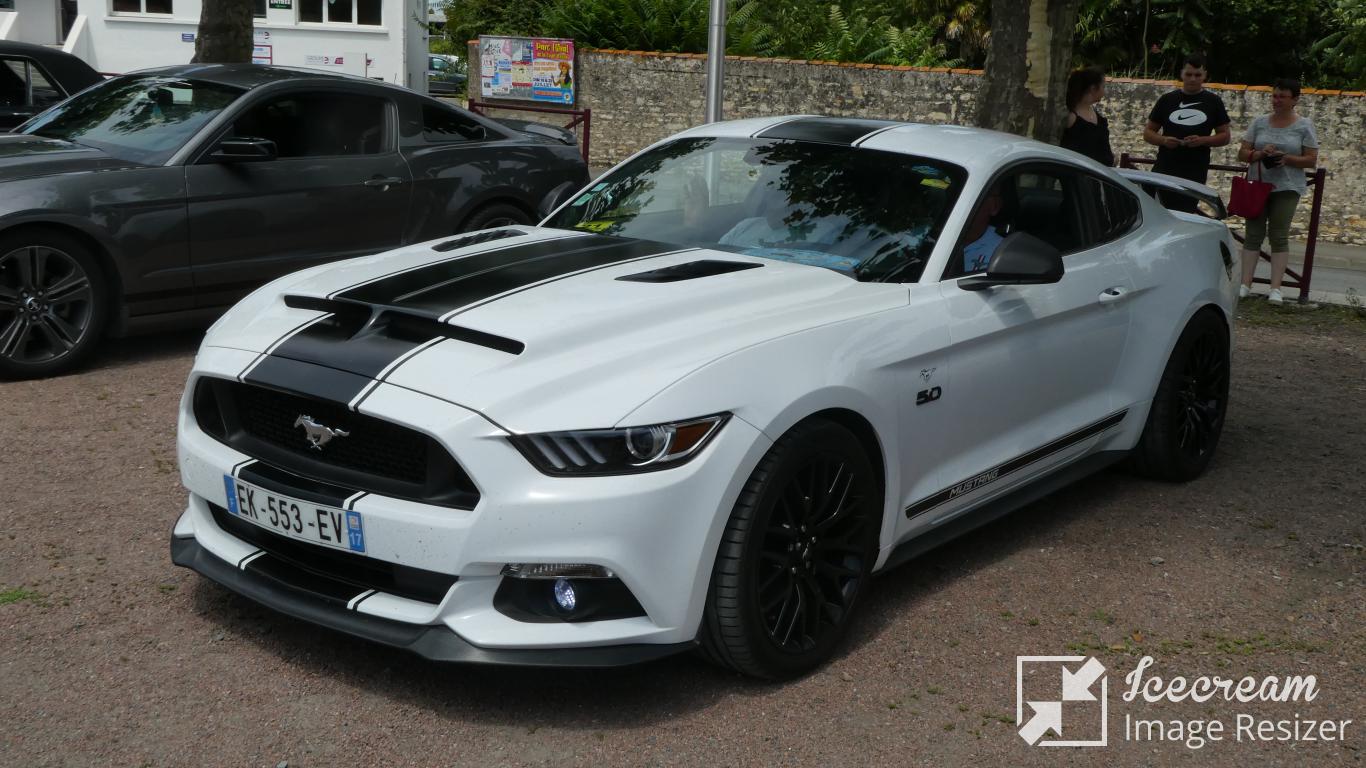 mini_P1040031