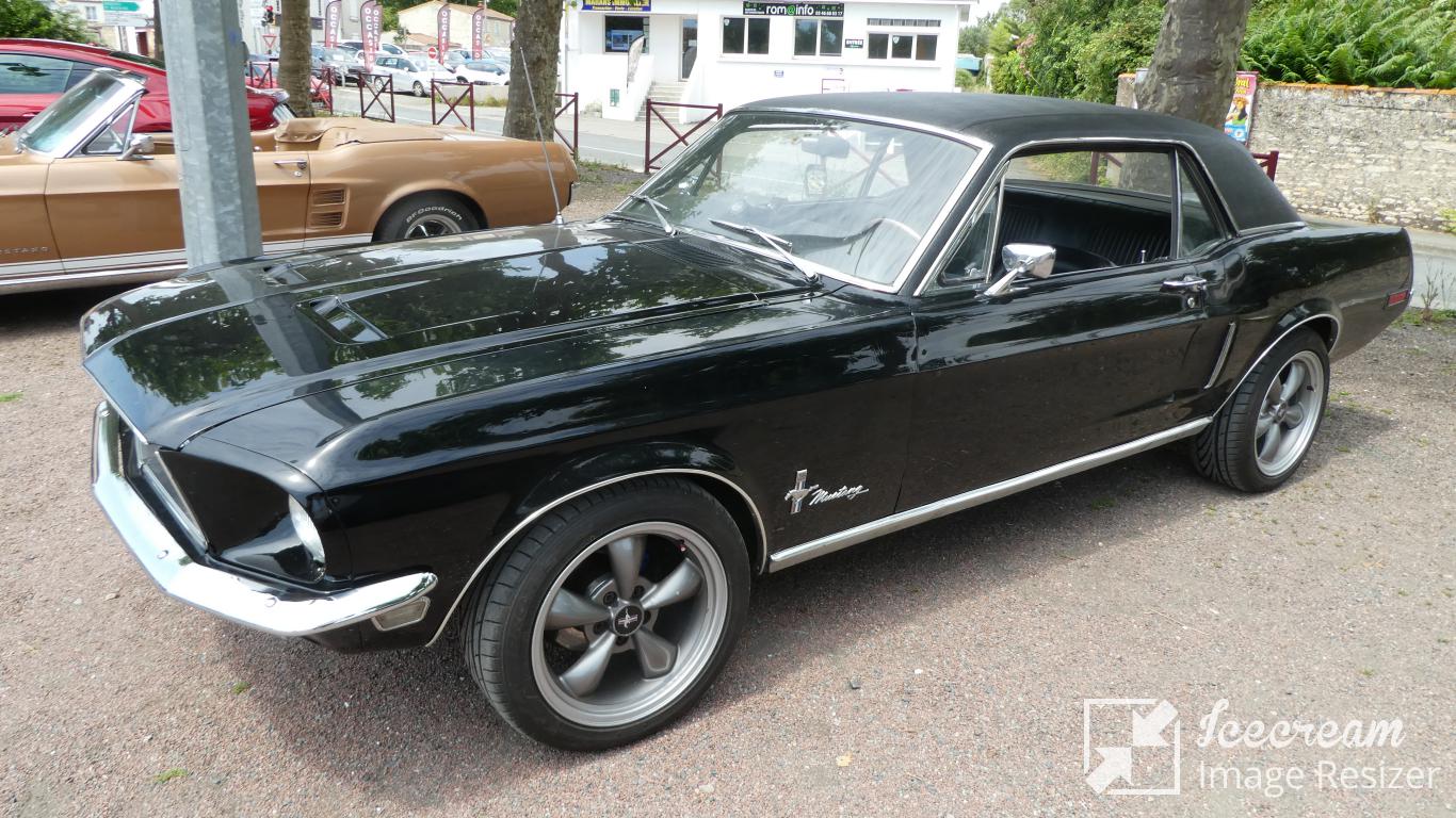 mini_P1040033
