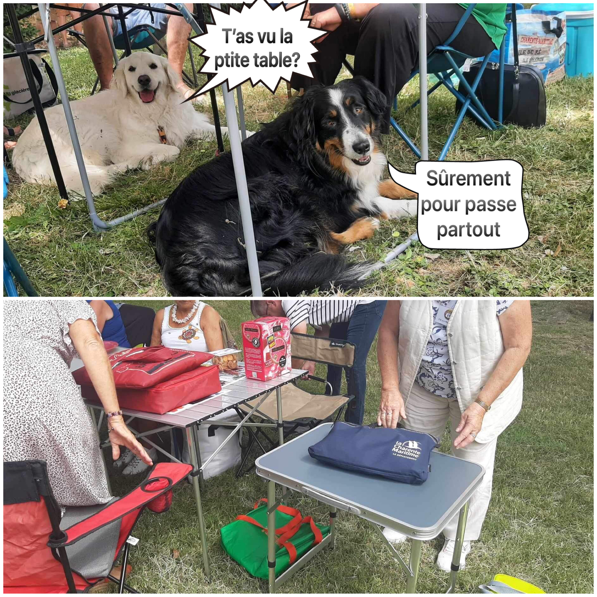 table passe partout